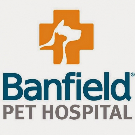 Banfield Pet Hospital in Pelham City, New York, United States - #1 Photo of Point of interest, Establishment, Health, Veterinary care