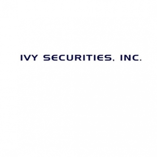 Ivy Securities Inc in Great Neck City, New York, United States - #2 Photo of Point of interest, Establishment, Finance