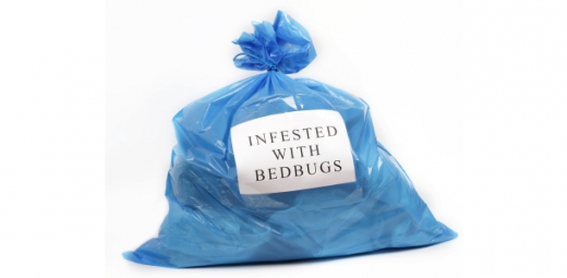 Photo by Manhattan Bed Bugs Company for Manhattan Bed Bugs Company