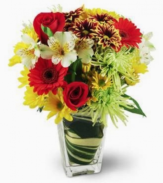 Photo by <br />
<b>Notice</b>:  Undefined index: user in <b>/home/www/activeuser/data/www/vaplace.com/core/views/default/photos.php</b> on line <b>128</b><br />
. Picture for Broderick Florist in Bergenfield City, New Jersey, United States - Point of interest, Establishment, Store, Florist