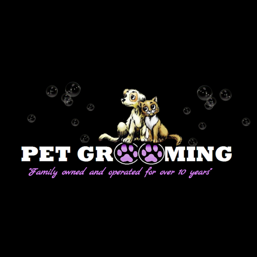 Animal Boarding Inc / Pet Grooming in Richmond City, New York, United States - #3 Photo of Point of interest, Establishment