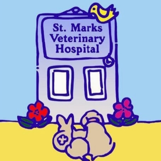 St Marks Veterinary Hospital in New York City, New York, United States - #2 Photo of Point of interest, Establishment, Veterinary care