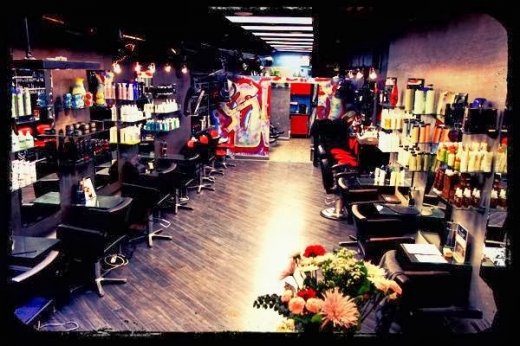 Sofi's Color Lounge in Cranford in Cranford City, New Jersey, United States - #1 Photo of Point of interest, Establishment, Beauty salon, Hair care