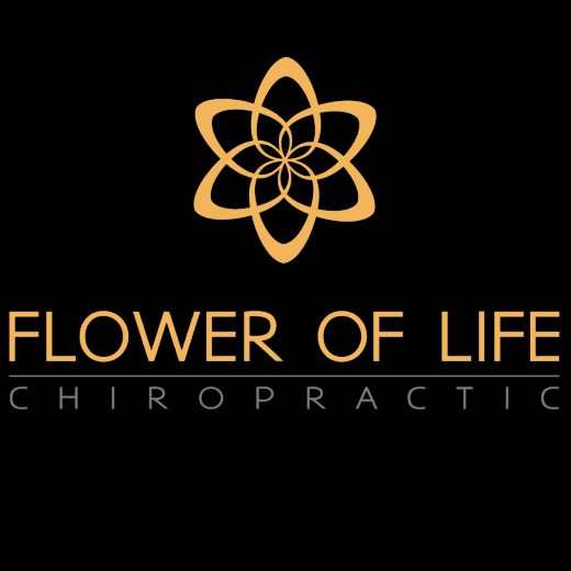 Flower of Life Chiropractic in Kings County City, New York, United States - #2 Photo of Point of interest, Establishment, Health