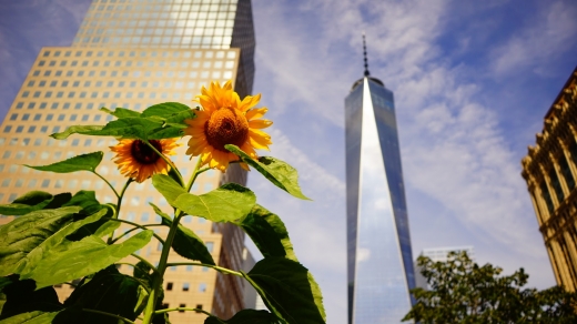 West Thames Park in New York City, New York, United States - #3 Photo of Point of interest, Establishment, Park