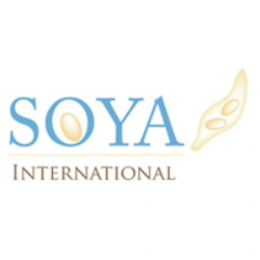Soya International in Roslyn City, New York, United States - #3 Photo of Food, Point of interest, Establishment