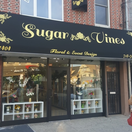 Sugar Vines in Kings County City, New York, United States - #1 Photo of Point of interest, Establishment, Store, Florist