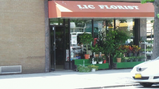 Photo by Walkerten NYC for Lic Florist
