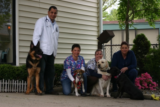 Kenilworth Animal Hospital in Kenilworth City, New Jersey, United States - #2 Photo of Point of interest, Establishment, Health, Veterinary care