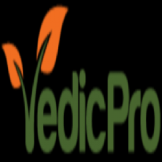 VedicPro USA in Floral Park City, New York, United States - #4 Photo of Food, Point of interest, Establishment, Store, Health, Storage