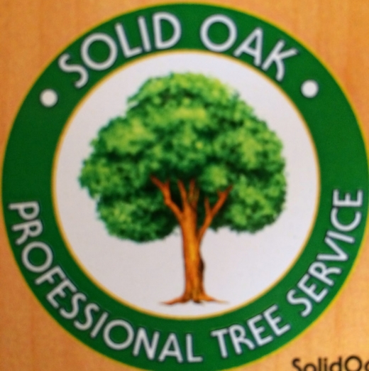 Solid Oak Professional Tree Service in Staten Island City, New York, United States - #3 Photo of Point of interest, Establishment