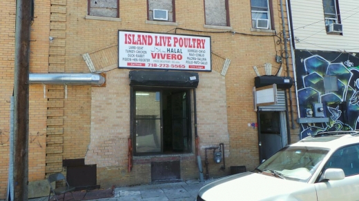 Photo by Walkerone NYC for Island Live Poultry