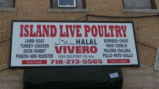 Island Live Poultry in Richmond City, New York, United States - #2 Photo of Food, Point of interest, Establishment