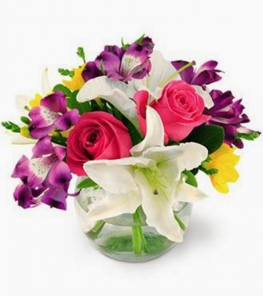 Photo by <br />
<b>Notice</b>:  Undefined index: user in <b>/home/www/activeuser/data/www/vaplace.com/core/views/default/photos.php</b> on line <b>128</b><br />
. Picture for Amendola Florist By Lou in Franklin Square City, New York, United States - Point of interest, Establishment, Store, Florist