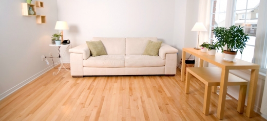 Photo by <br />
<b>Notice</b>:  Undefined index: user in <b>/home/www/activeuser/data/www/vaplace.com/core/views/default/photos.php</b> on line <b>128</b><br />
. Picture for LR Wood flooring in West Hempstead City, New York, United States - Point of interest, Establishment, General contractor