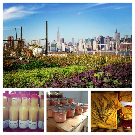 Eagle Street Rooftop Farm in Brooklyn City, New York, United States - #1 Photo of Food, Point of interest, Establishment