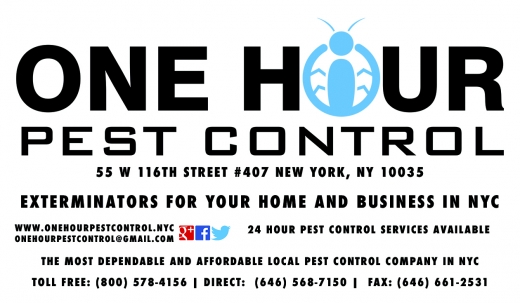 Photo by <br />
<b>Notice</b>:  Undefined index: user in <b>/home/www/activeuser/data/www/vaplace.com/core/views/default/photos.php</b> on line <b>128</b><br />
. Picture for One Hour Pest Control in Bronx City, New York, United States - Point of interest, Establishment, Store, Home goods store