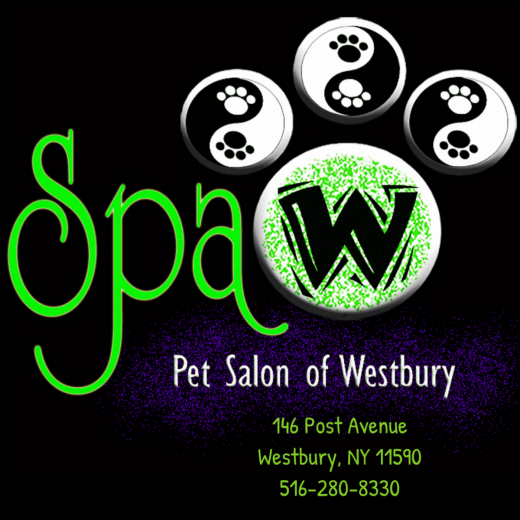 Photo by <br />
<b>Notice</b>:  Undefined index: user in <b>/home/www/activeuser/data/www/vaplace.com/core/views/default/photos.php</b> on line <b>128</b><br />
. Picture for Spaw Pet Salon of Westbury in Westbury City, New York, United States - Point of interest, Establishment