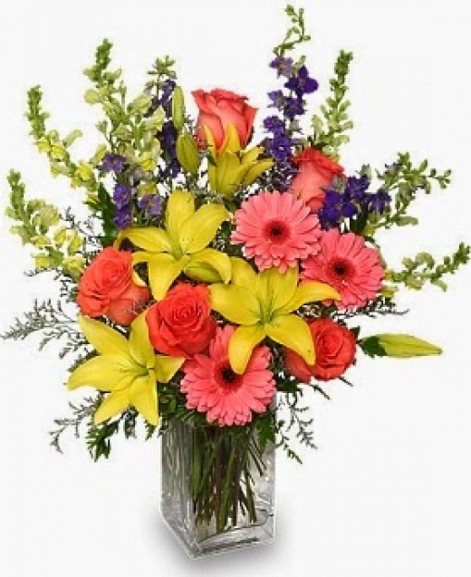 Photo by <br />
<b>Notice</b>:  Undefined index: user in <b>/home/www/activeuser/data/www/vaplace.com/core/views/default/photos.php</b> on line <b>128</b><br />
. Picture for Heavenly Florist in Ozone Park City, New York, United States - Point of interest, Establishment, Store, Clothing store, Florist