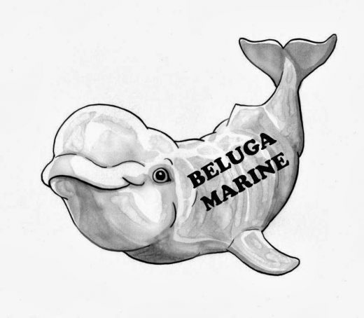 Beluga Marine in New York City, New York, United States - #3 Photo of Point of interest, Establishment, Store