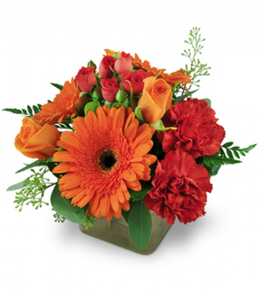 Photo by <br />
<b>Notice</b>:  Undefined index: user in <b>/home/www/activeuser/data/www/vaplace.com/core/views/default/photos.php</b> on line <b>128</b><br />
. Picture for Fort Lee Florist in Fort Lee City, New Jersey, United States - Point of interest, Establishment, Store, Florist