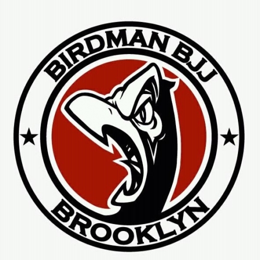 Birdman Brazilian Jiu Jitsu in Kings County City, New York, United States - #1 Photo of Point of interest, Establishment, Health