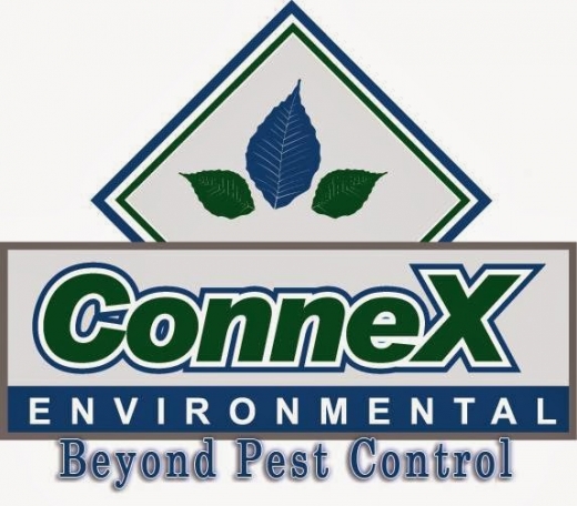 Photo by Beyond Pest Control for Beyond Pest Control