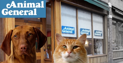 Animal General in New York City, New York, United States - #1 Photo of Point of interest, Establishment, Veterinary care