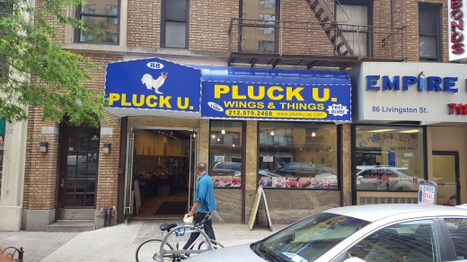 Pluck U in Brooklyn City, New York, United States - #2 Photo of Restaurant, Food, Point of interest, Establishment, Meal takeaway, Meal delivery
