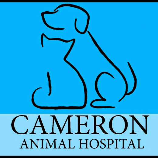 Cameron Animal Hospital in Montclair City, New Jersey, United States - #2 Photo of Point of interest, Establishment, Veterinary care