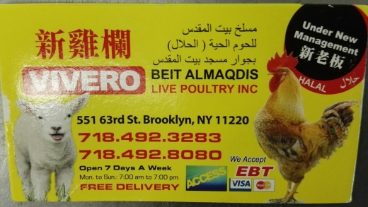 Beit Almaqdis Live Poultry Inc in Kings County City, New York, United States - #2 Photo of Food, Point of interest, Establishment