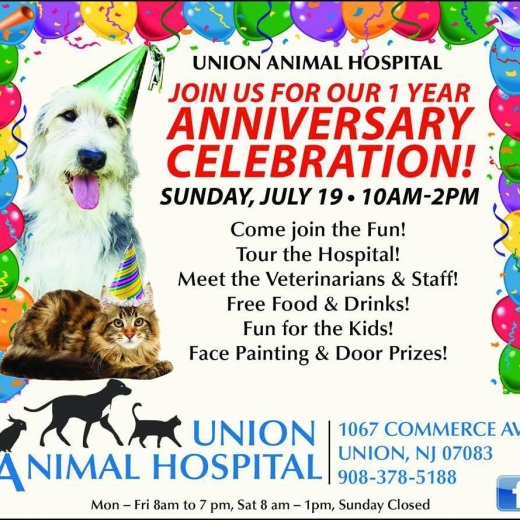 Photo by <br />
<b>Notice</b>:  Undefined index: user in <b>/home/www/activeuser/data/www/vaplace.com/core/views/default/photos.php</b> on line <b>128</b><br />
. Picture for Union Animal Hospital in Union City, New Jersey, United States - Point of interest, Establishment, Veterinary care