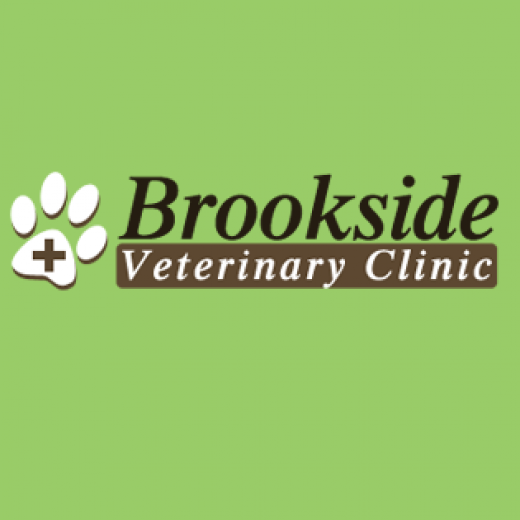 Brookside Veterinary Clinic in Bloomfield City, New Jersey, United States - #3 Photo of Point of interest, Establishment, Store, Health, Veterinary care