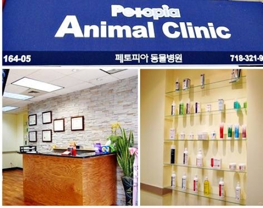 Petopia 寵物醫院 in Queens City, New York, United States - #4 Photo of Point of interest, Establishment, Veterinary care
