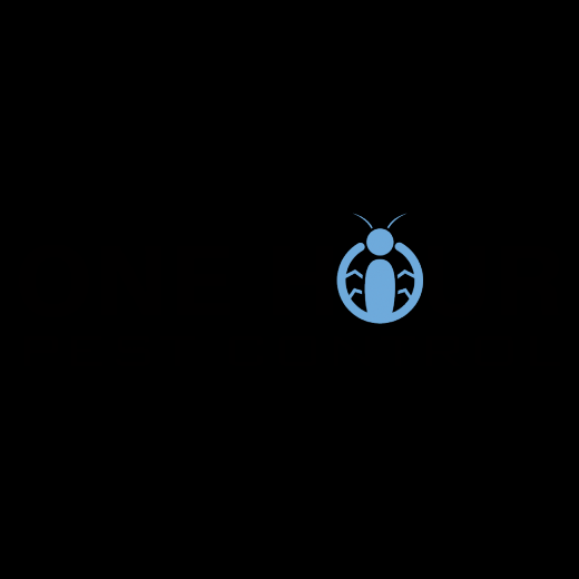 Photo by <br />
<b>Notice</b>:  Undefined index: user in <b>/home/www/activeuser/data/www/vaplace.com/core/views/default/photos.php</b> on line <b>128</b><br />
. Picture for One Hour Pest Control in Bronx City, New York, United States - Point of interest, Establishment, Store, Home goods store