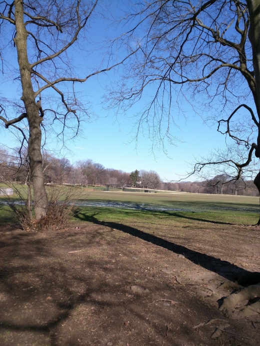 Photo by <br />
<b>Notice</b>:  Undefined index: user in <b>/home/www/activeuser/data/www/vaplace.com/core/views/default/photos.php</b> on line <b>128</b><br />
. Picture for Long Meadow Ballfields in Brooklyn City, New York, United States - Point of interest, Establishment, Park