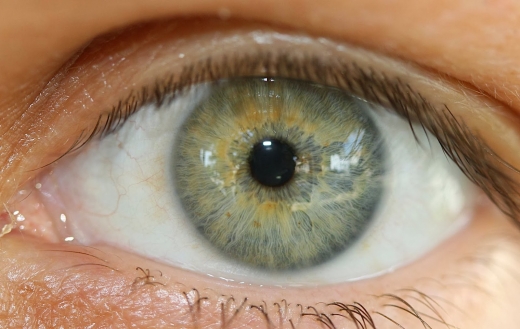 Photo by New York Center for Iridology for New York Center for Iridology