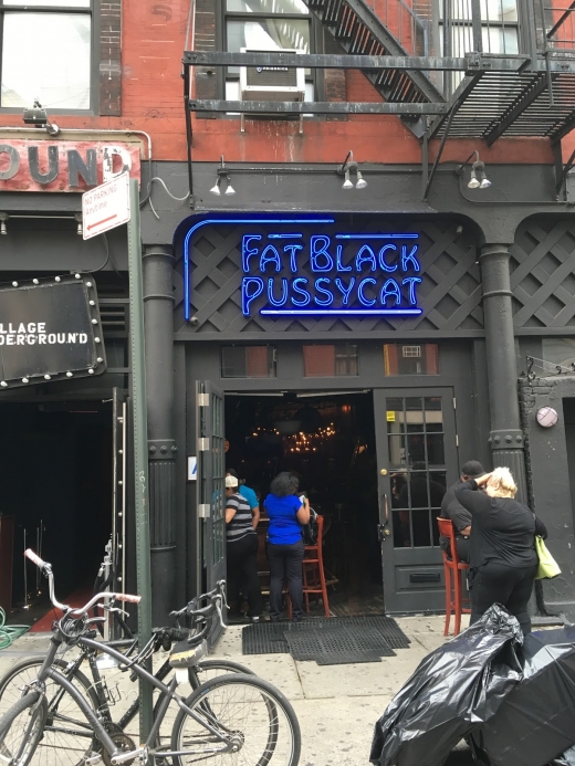 The Fat Black Pussycat in New York City, New York, United States - #1 Photo of Point of interest, Establishment, Bar, Night club