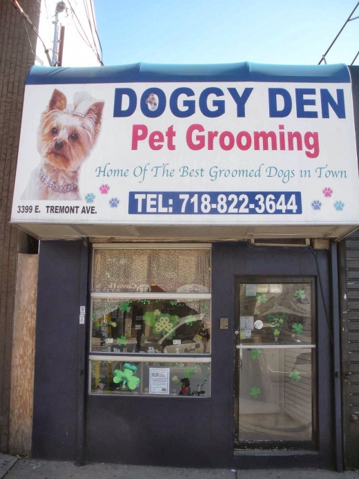 Doggy Den in Bronx City, New York, United States - #1 Photo of Point of interest, Establishment