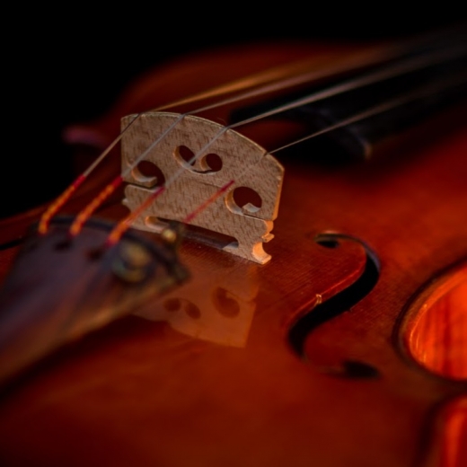 Photo by StringSchool : Violin Lessons for Adults for StringSchool : Violin Lessons for Adults