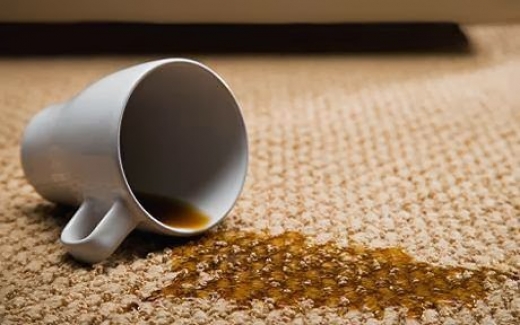 Photo by Little Italy Rug Upholstery Cleaning for Little Italy Rug Upholstery Cleaning