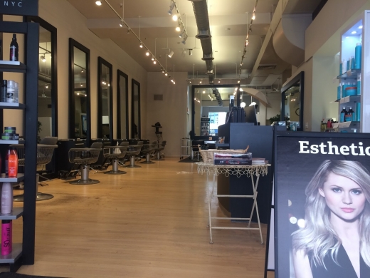 Esthetica Salon in Montclair City, New Jersey, United States - #2 Photo of Point of interest, Establishment, Beauty salon
