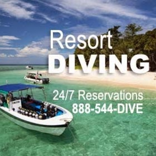 Resort Diving in New York City, New York, United States - #1 Photo of Point of interest, Establishment, Travel agency