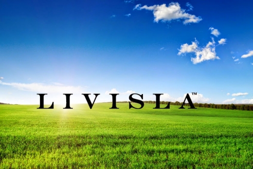 Livisla LLC in Elmwood Park City, New Jersey, United States - #1 Photo of Point of interest, Establishment