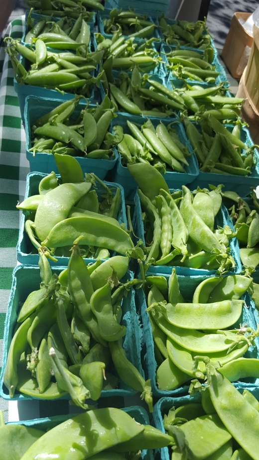 Tucker Square Greenmarket in New York City, New York, United States - #4 Photo of Food, Point of interest, Establishment