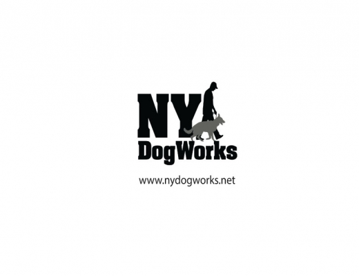 NYDogWorks in Oceanside City, New York, United States - #2 Photo of Point of interest, Establishment
