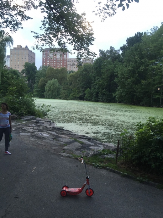 NYC Parks Enforcement Patrol in New York City, New York, United States - #3 Photo of Point of interest, Establishment, Park