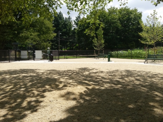 Kearny Dog Park in Kearny City, New Jersey, United States - #1 Photo of Point of interest, Establishment, Park