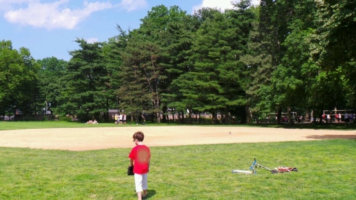 Photo by Walkertwo NYC for Great Lawn Softball Field 7
