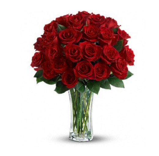 Photo by <br />
<b>Notice</b>:  Undefined index: user in <b>/home/www/activeuser/data/www/vaplace.com/core/views/default/photos.php</b> on line <b>128</b><br />
. Picture for Simcha Florists & Plant Shop in Brooklyn City, New York, United States - Point of interest, Establishment, Store, Florist